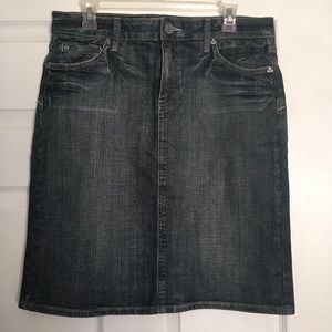 Kut from the Kloth Denim Pencil Skirt Size 10